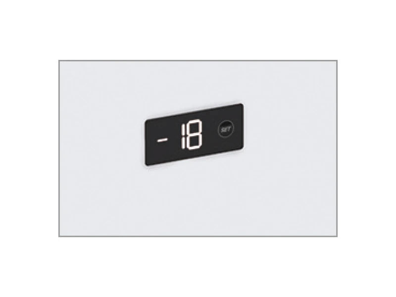 Digital thermometer