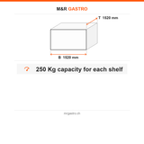 Edelstahlregal, 530×1520 mm, glatte Böden, 250 kg pro Boden, Edelstahl 304 – Technische Daten