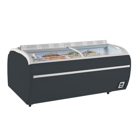 Tiefkühlinsel – 1255 L – 2150×1465×930 mm – Anthrazit RAL 7016 - Produktansicht