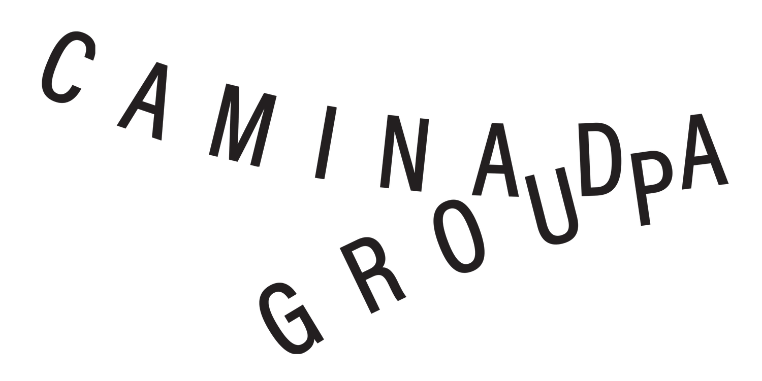 Logo Caminada Group